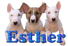esther/esther-370293