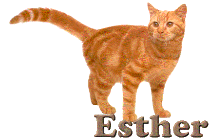 esther/esther-823335