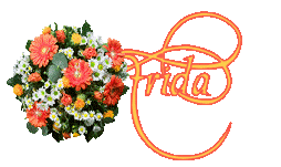 frida/frida-110651