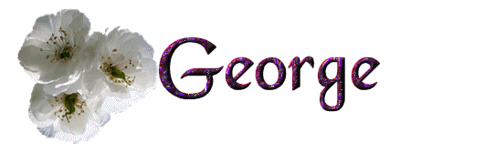 george/george-665382