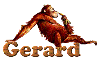 gerard/gerard-519038