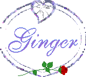 ginger/ginger-801246