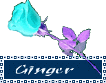 ginger/ginger-853100