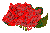 ginny/ginny-236146