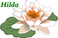 hilda/hilda-567140
