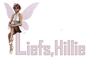hillie/hillie-781998