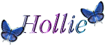 hollie/hollie-541849