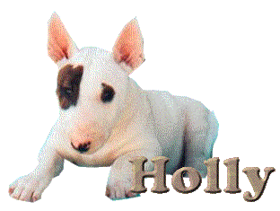 holly/holly-606498