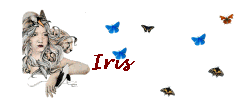 iris/iris-720373