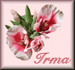 irma/irma-130844