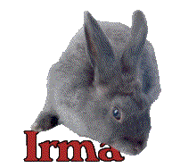 irma/irma-378523