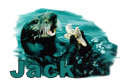 jack/jack-147972