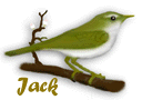 jack/jack-891163