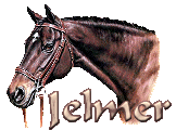jelmer/jelmer-278837