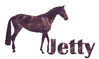 jetty/jetty-264028