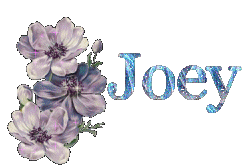 joey/joey-981165