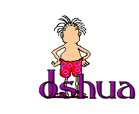 joshua/joshua-088250