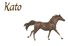 kato/kato-011185