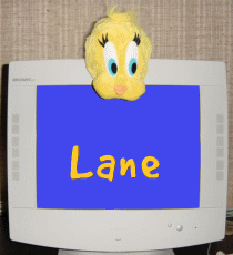 lane/lane-941979