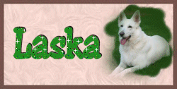 laska/laska-641038
