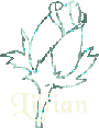 lillian/lillian-464900