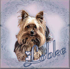 lobke/lobke-481450