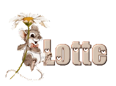 lotte/lotte-978745