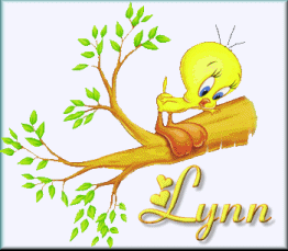 lynn/lynn-890630