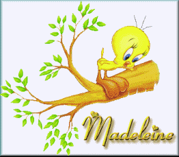 madeleine/madeleine-821009