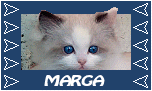 marga/marga-994528