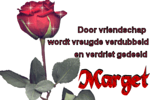 marget/marget-706927