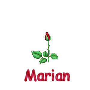 marian/marian-784767