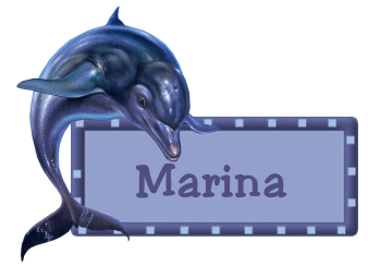 marina/marina-288561