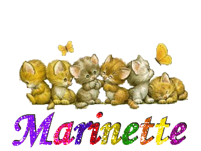 marinette/marinette-489130