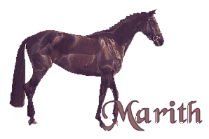 marith/marith-650289