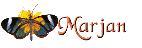 marjan/marjan-545534