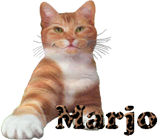 marjo/marjo-725078