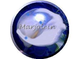 marjolein/marjolein-791557