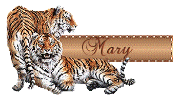 mary/mary-497025