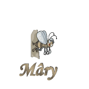 mary/mary-800101
