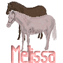 melissa/melissa-987101