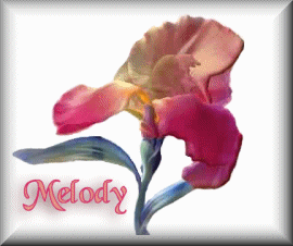 melody/melody-392716