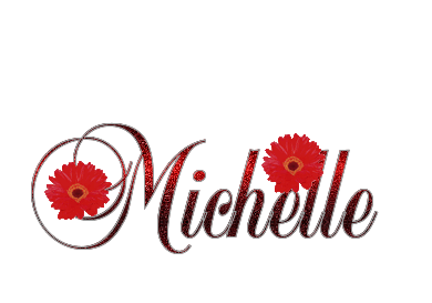 michelle/michelle-408406