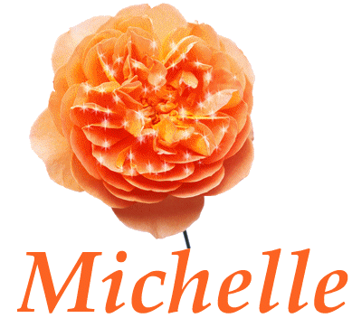 michelle/michelle-515152