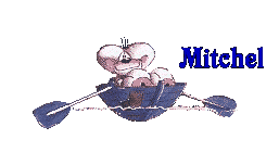 mitchel/mitchel-488308