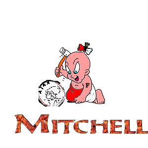 mitchell/mitchell-020864