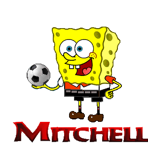 mitchell/mitchell-247393