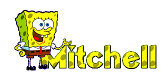 mitchell/mitchell-953928