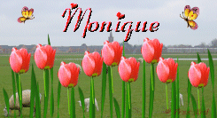 monique/monique-569918