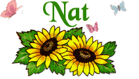 nat/nat-519154